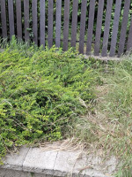 /album/fotogalerie/whatsapp-image-2025-06-26-at-17-36-44-jpeg/